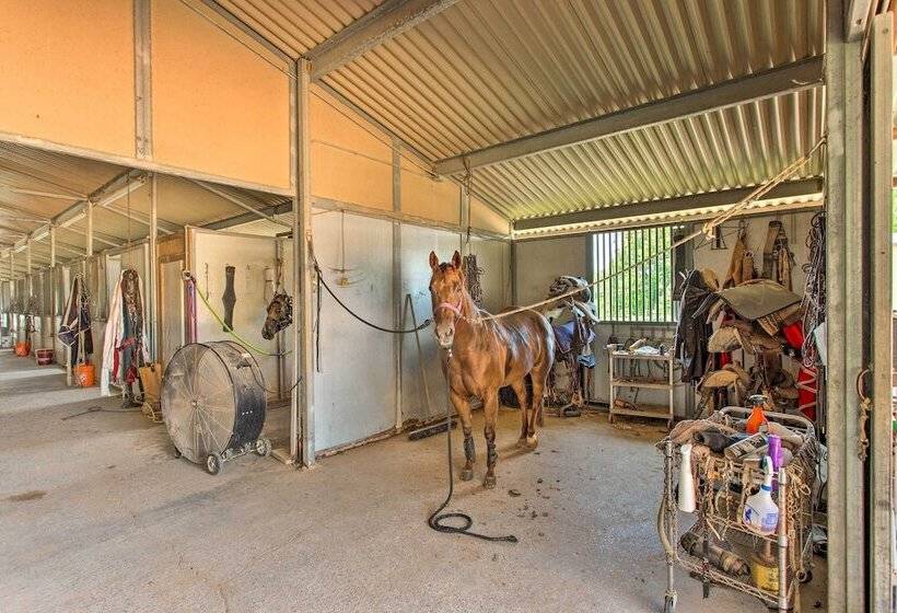 Texas Countryside Retreat On 130 Acres!