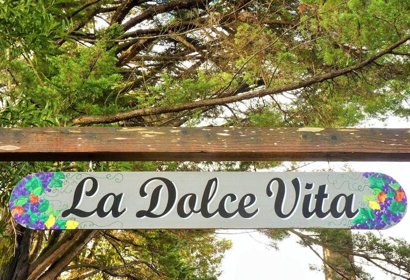 Converted Barn In Sebastopol W/ Private Patio!