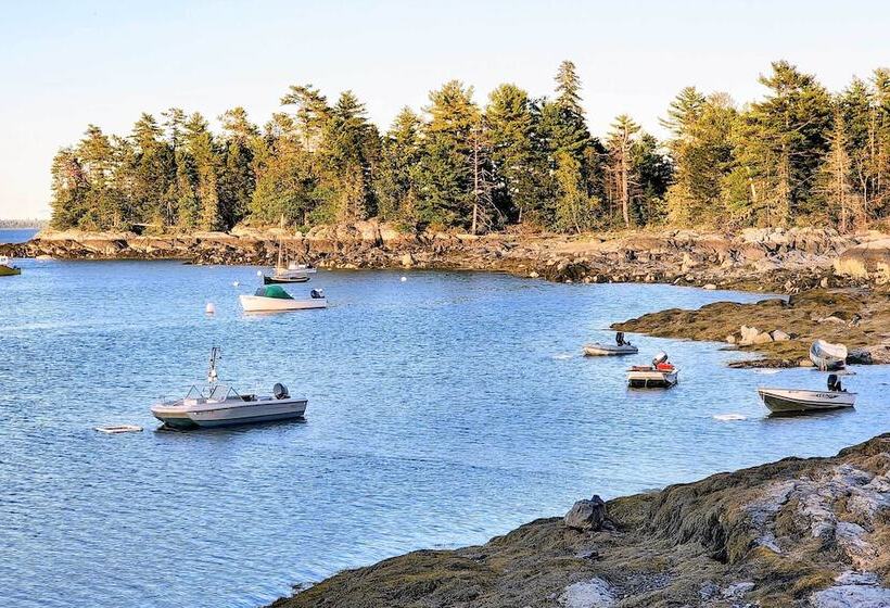 Hidden Gem Cottage  Near Blue Hill Peninsula