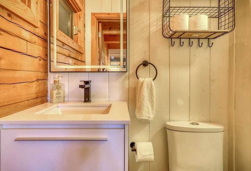 Pagosa Lakefront Home W/ Hot Tub, A/c, & Canoe!