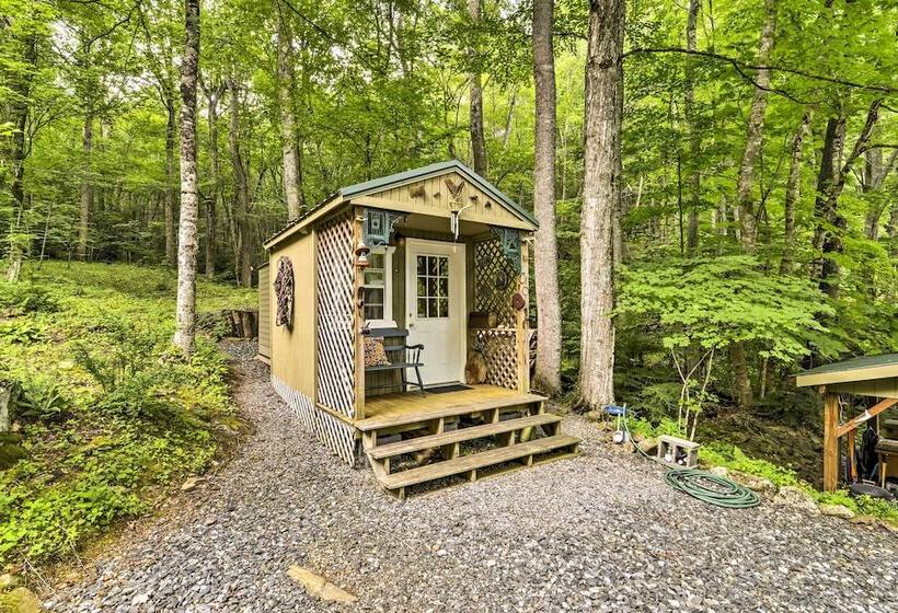 Lotsa Moose Lodge  Pisgah Forest Waterfall Cabin!