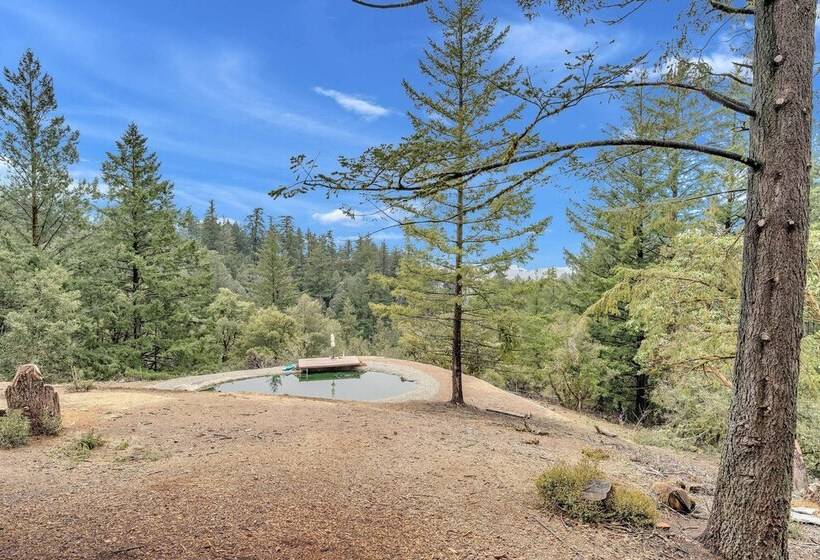 Mountain Homestead: Swim, Hike, & Camp On Site!