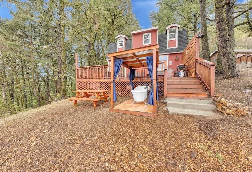 Mountain Homestead: Swim, Hike, & Camp On Site!