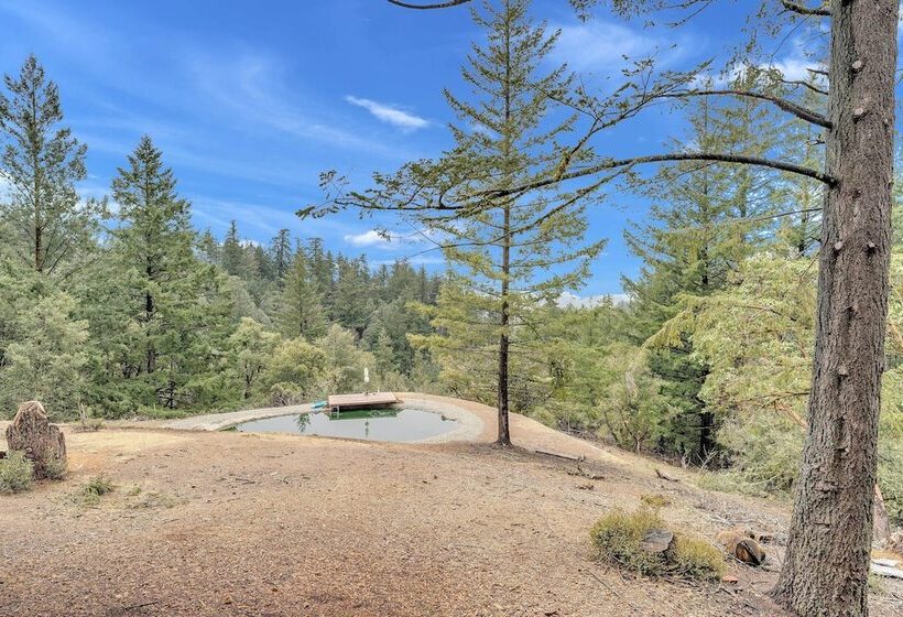 Mountain Homestead: Swim, Hike, & Camp On Site!