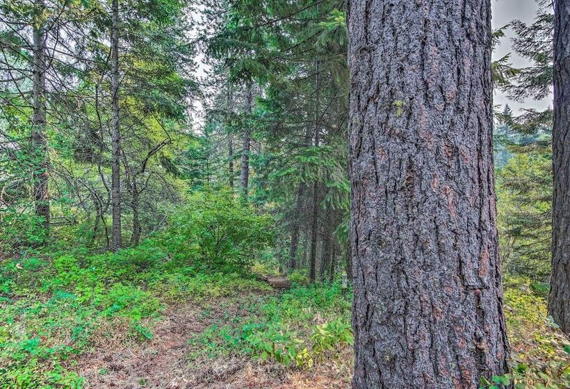 Peace In The Pines: Cle Elum Cabin W/ Trail!