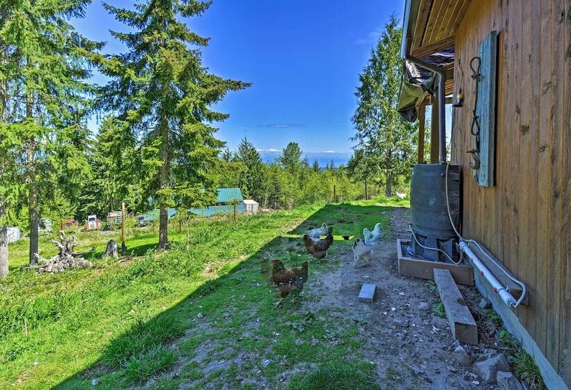 Picturesque Port Angeles Cabin W/ Fire Pit!