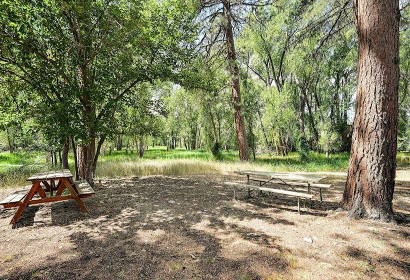 Rustic Cabin Near Downtown Bv & Arkansas River!