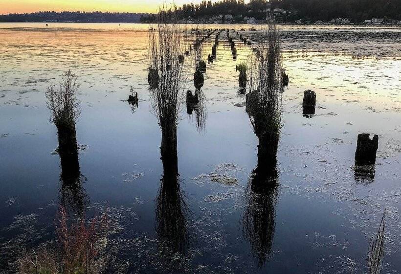 Seattle Area Studio, 2 Mi To St Edward State Park!