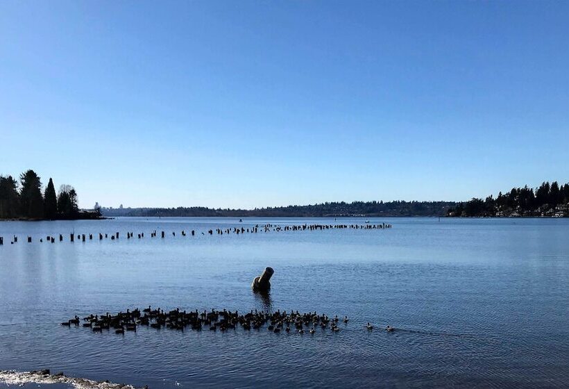 Seattle Area Studio, 2 Mi To St Edward State Park!