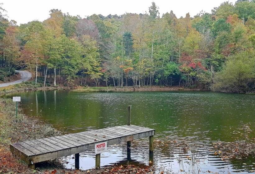 Secluded Black Mountain Cabin W/ On Site Pond!
