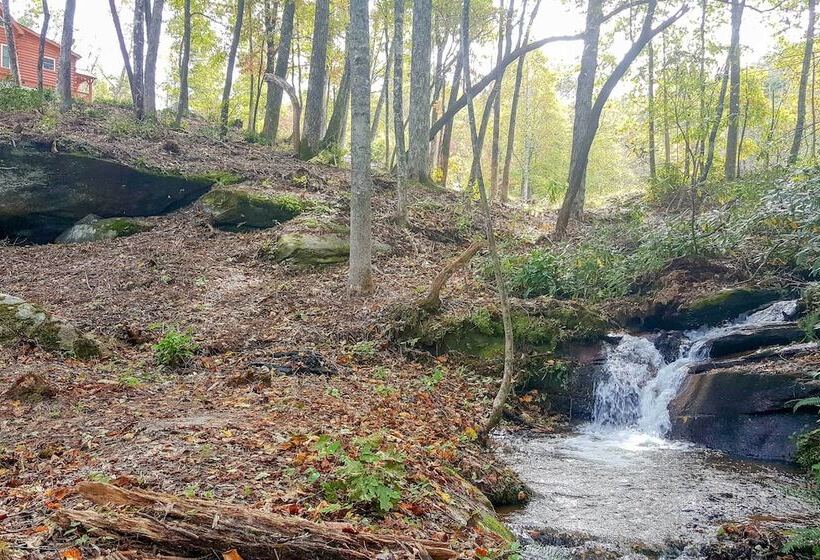 Secluded Black Mountain Cabin W/ On Site Pond!