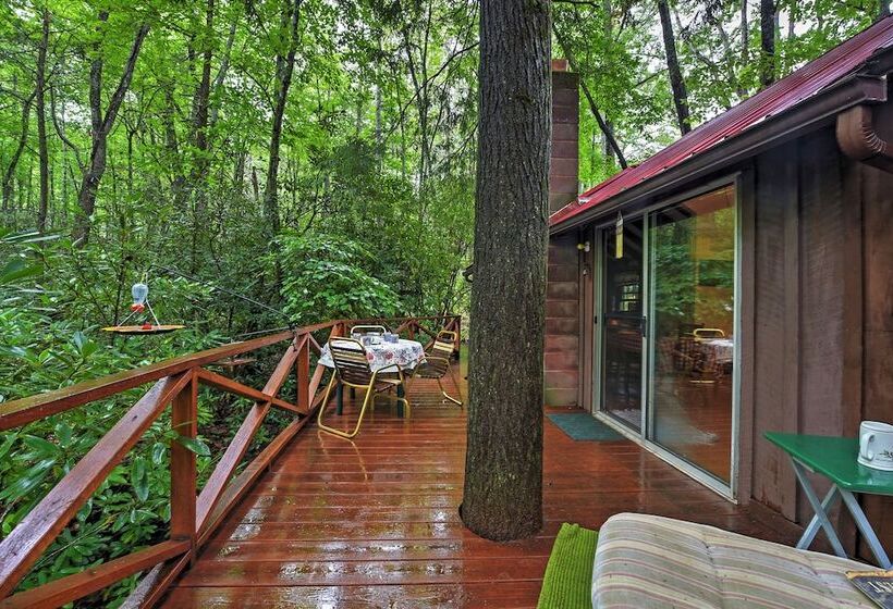 Serene Creekside Cottage Near Mount Pisgah!