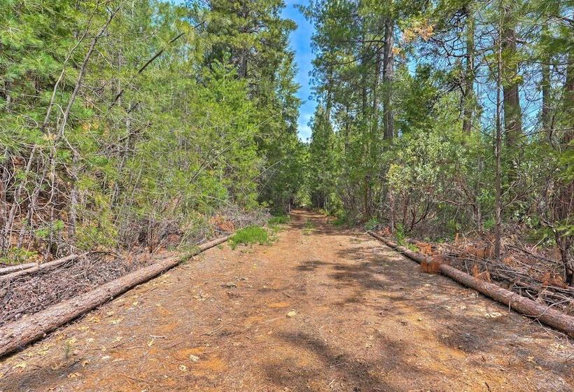 10 Acres W/ Stunning Views: Apple Hill Home!