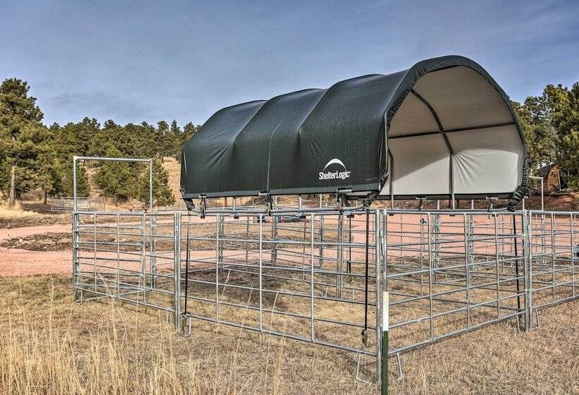 Belle Cabin  W/ Hot Tub Access, Near Mt Rushmore!