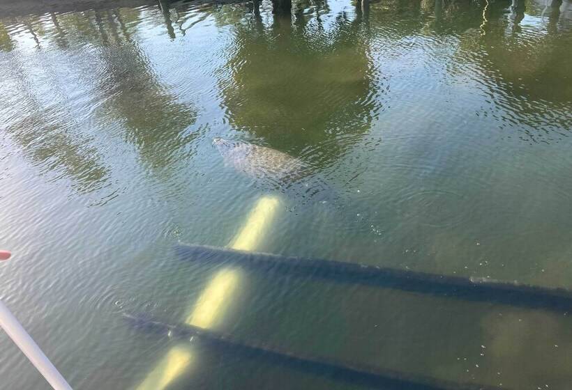 Waterfront Crystal River Home W/ Boat Dock!