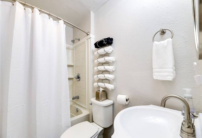 Fayetteville Retreat W/ Yard   Walk To Campus!