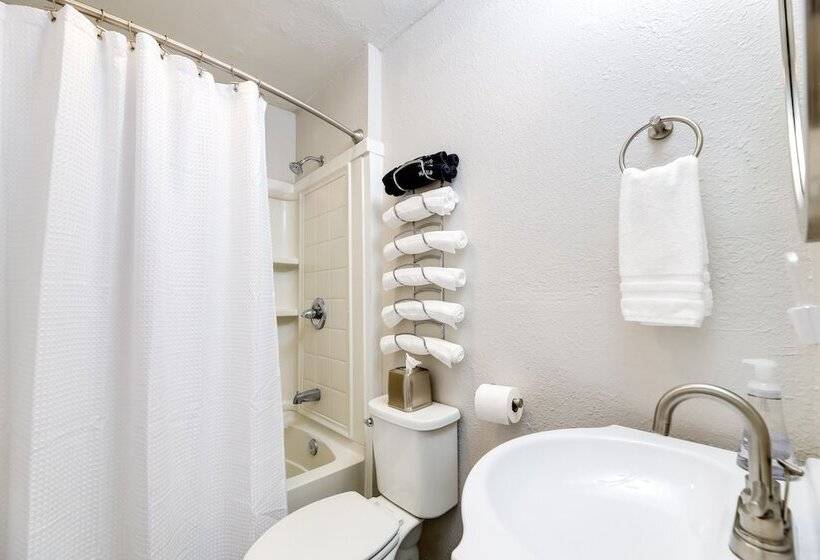 Fayetteville Retreat W/ Yard   Walk To Campus!