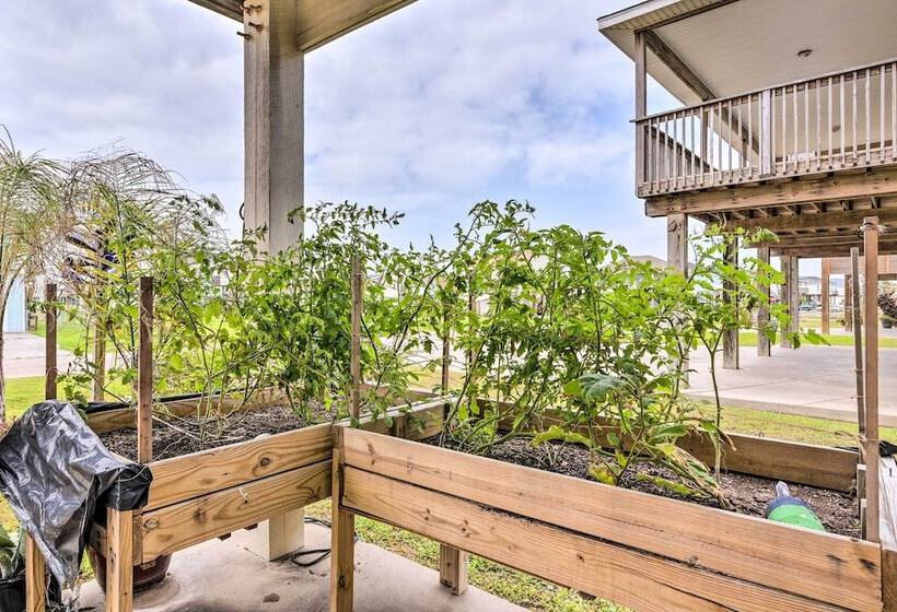 Pool Access & Walk To Beach: Galveston Home