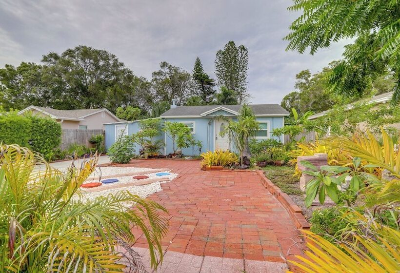 Quaint Jungle Hideaway Near Downtown St. Pete