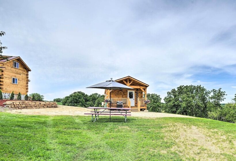 Serene Views: Quiet Farmhouse Cabin In Wisconsin!