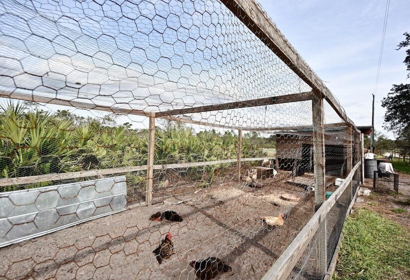 40 Acre Farm W/ Animals & Fishing In Sebring!