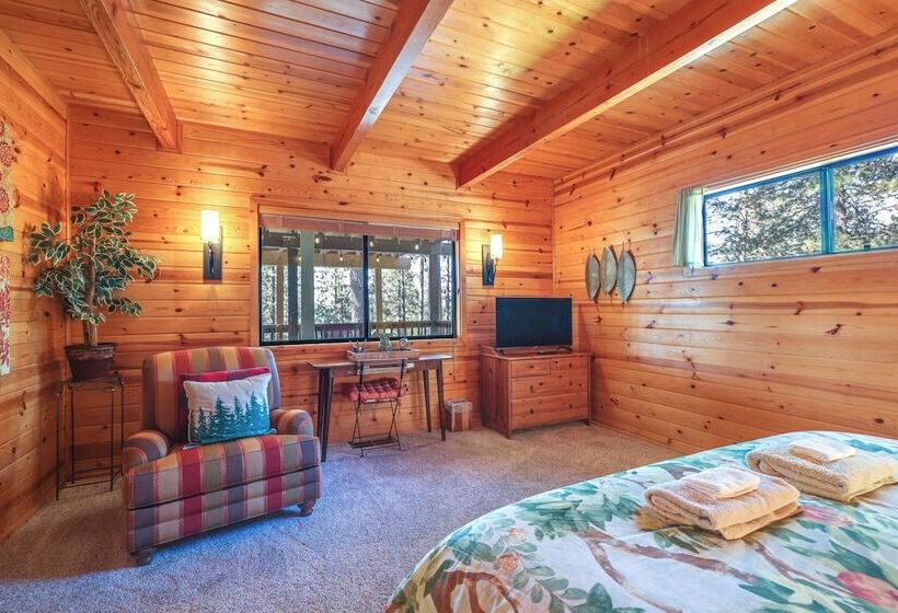 Deck & Views: Pet Friendly Starry Pines Cabin