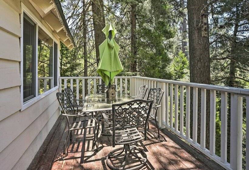 Tree House Chalet  In Lake Arrowhead Village