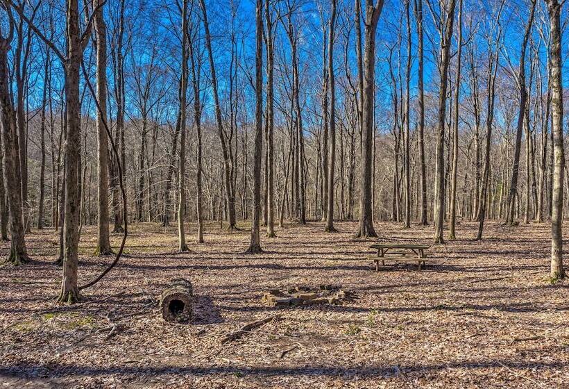 Bright Green Gables Cabin: Hike, Swim & Bbq