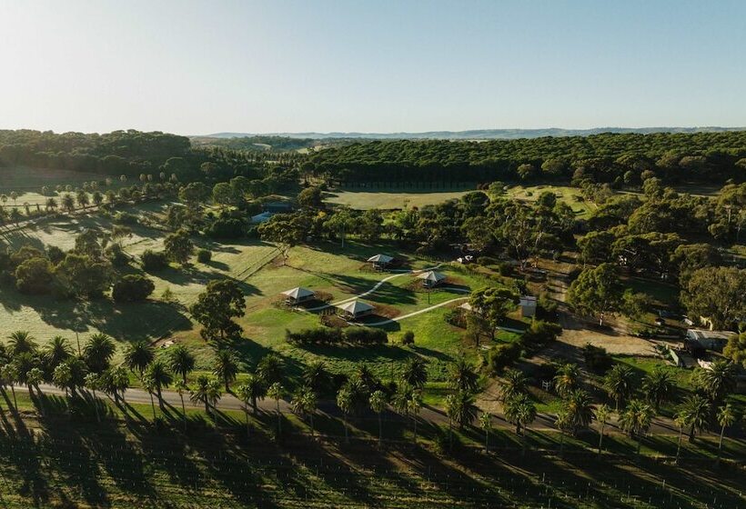 Cabn X Seppeltsfield Barossa