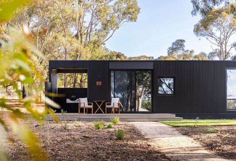 Cabn X Seppeltsfield Barossa