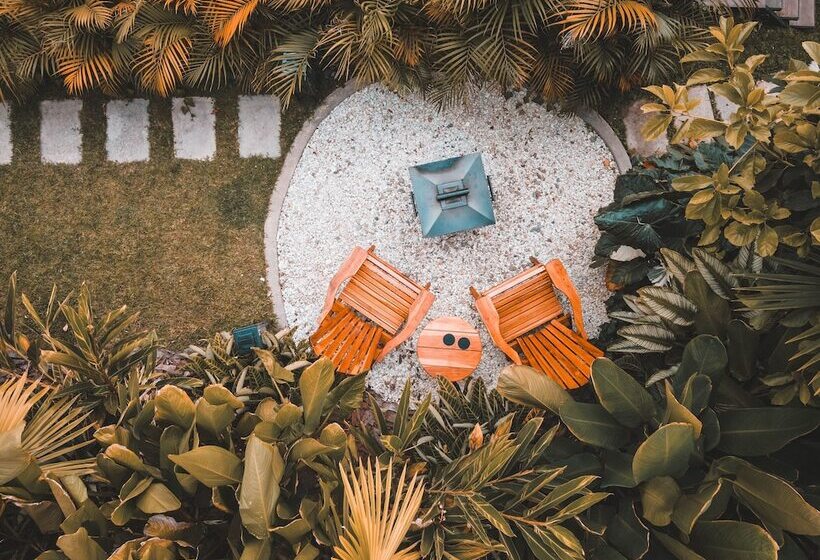 Отель Atardeceres Del Cafe