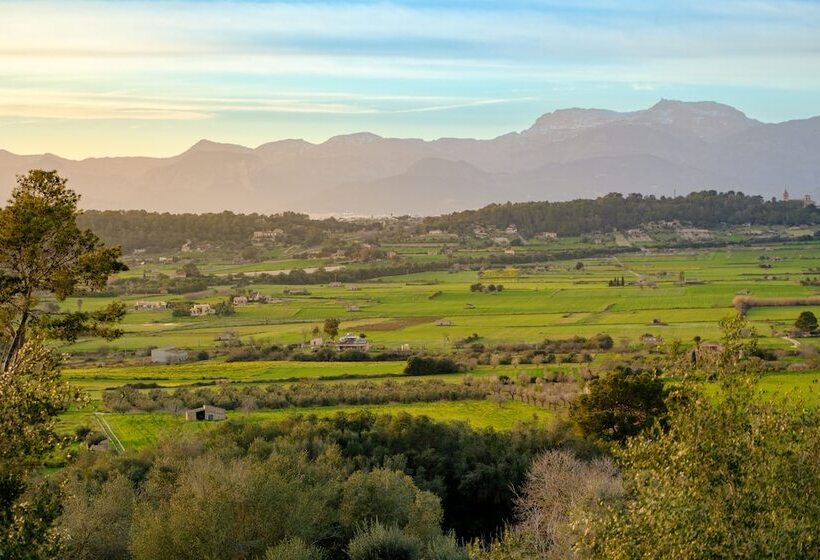 田舎風ホテル Finca Sa Bastida Luxury Retreat & Spa   Adults Only