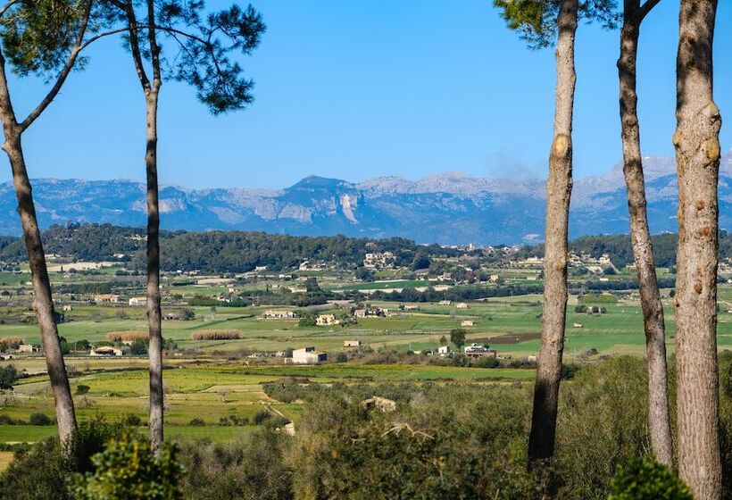 田舎風ホテル Finca Sa Bastida Luxury Retreat & Spa   Adults Only