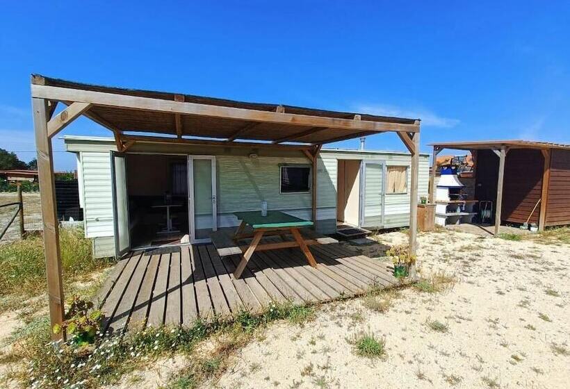 호텔 Sunset Milfontes