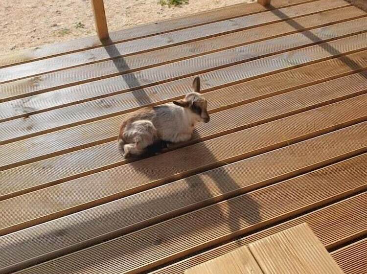 호텔 Sunset Milfontes