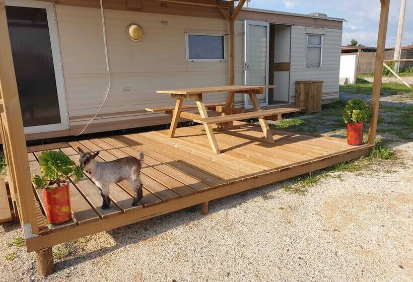 호텔 Sunset Milfontes