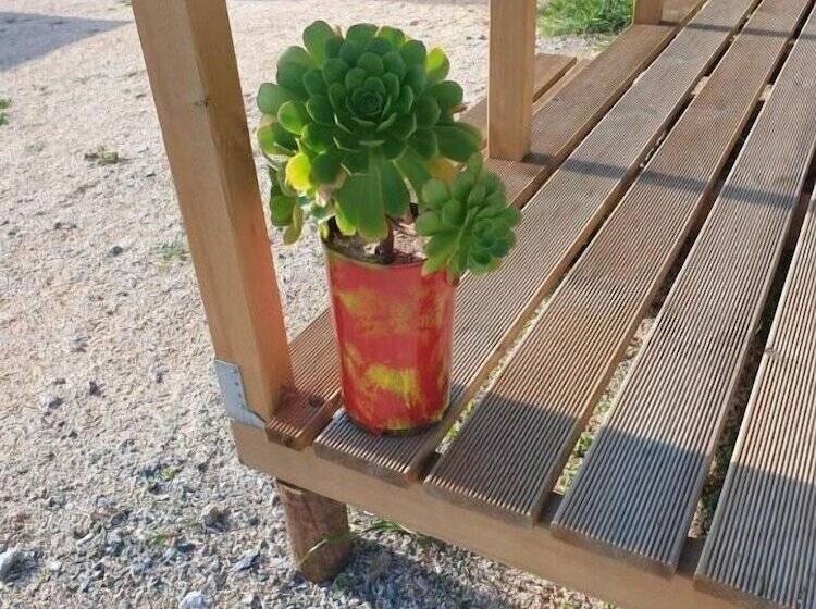 호텔 Sunset Milfontes