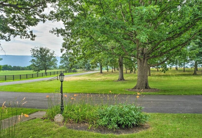 Lush, Modern Farmhouse W/ Mtn Views & Sunroom