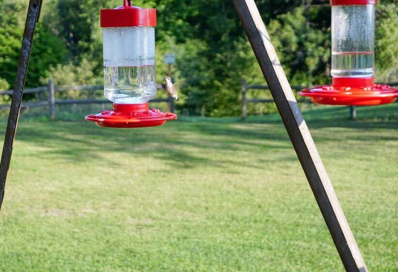 Wilderness Retreat & Cross Country Ski Center!