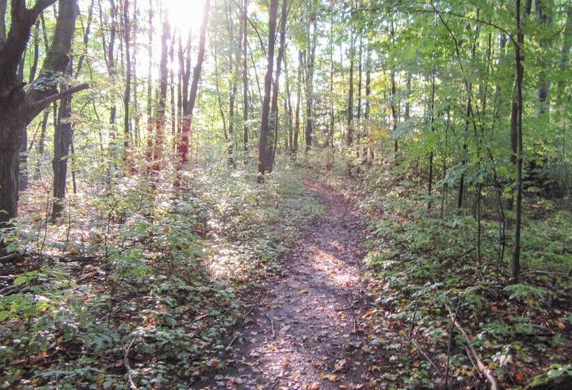 Wilderness Retreat & Cross Country Ski Center!