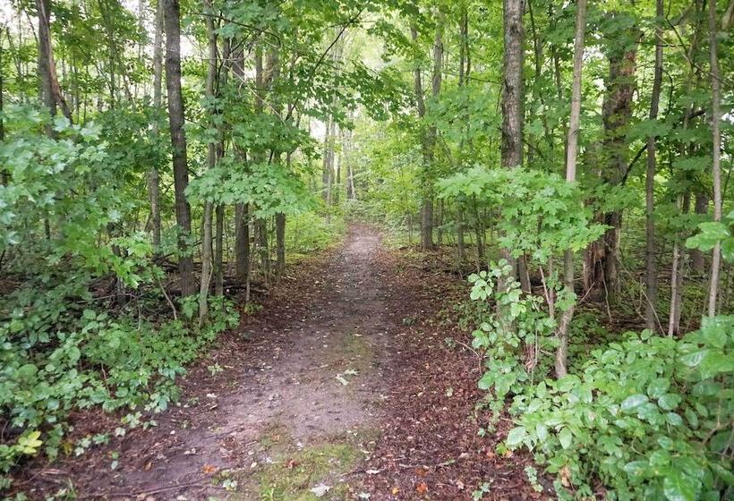 Wilderness Retreat & Cross Country Ski Center!