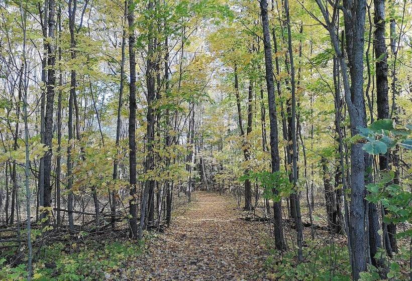 Wilderness Retreat & Cross Country Ski Center!