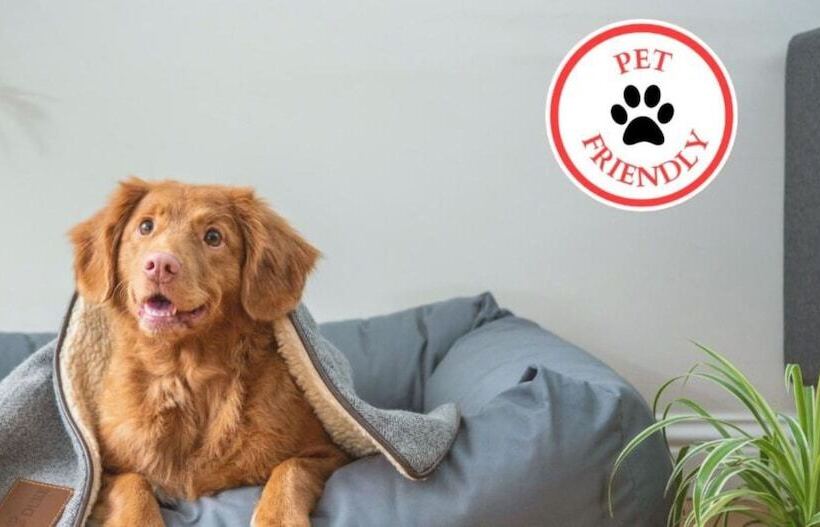 فندق على الطريق Super Sleep Inn