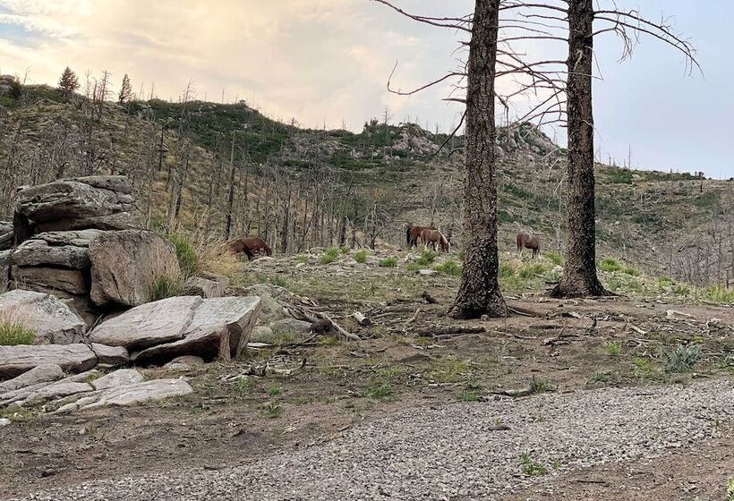 14 Mi To Ski Apache: Mountaintop Cabin W/ View