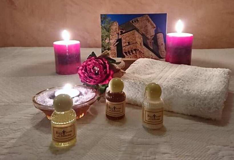 Пансион Chateau La Servayrie