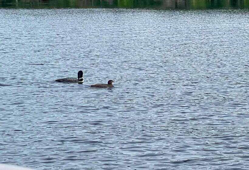 Raymond Retreat W/ 200 Feet Of Private Beach!