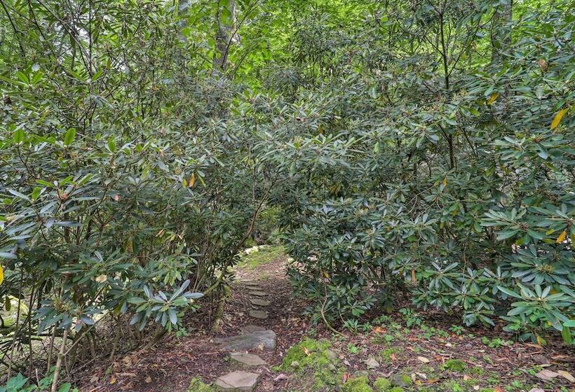 Peaceful  Rocky Creek Cabin  W/ Hot Tub & Views!