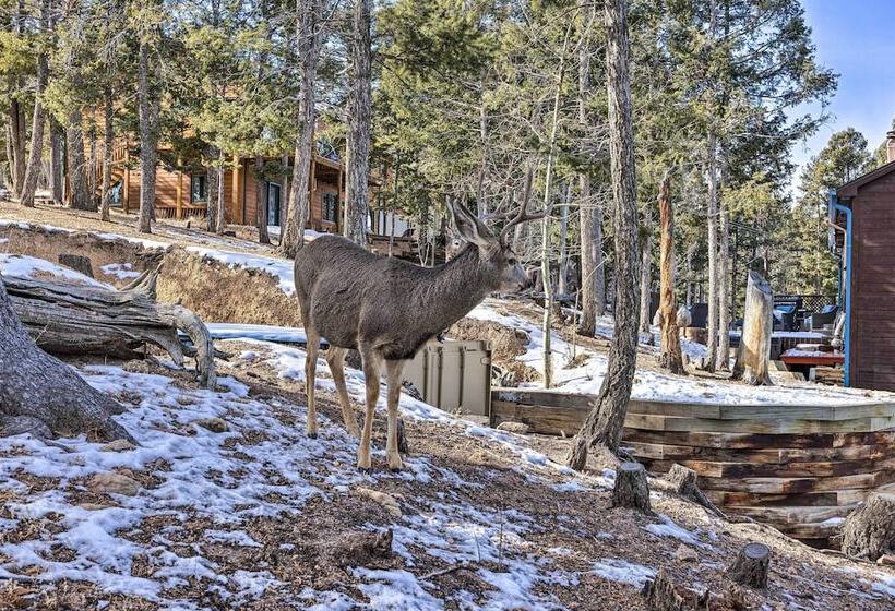 Woodland Park Home W/ Stunning Mountain Views