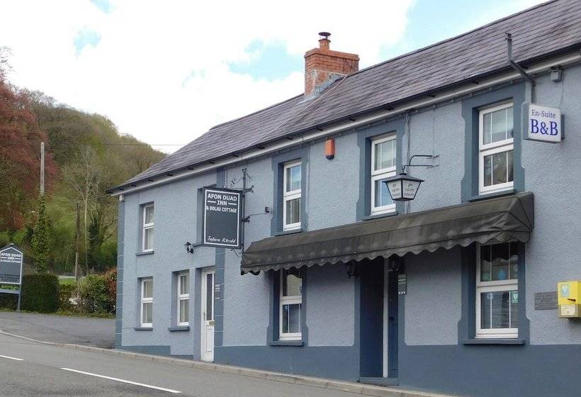 Afon Duad Inn