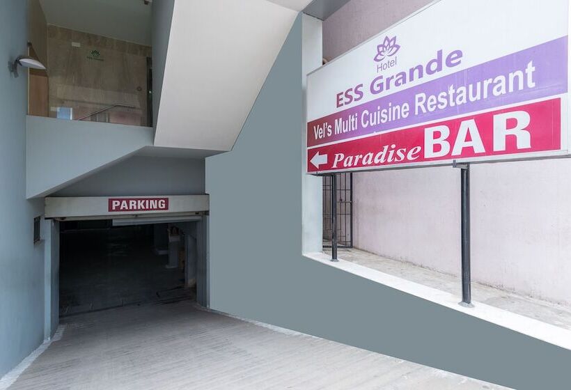 فندق صغير Treebo Ess Grande